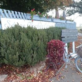 Sárga Borház Vendéglő, Mezőzombor - Egyéb