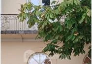 Sárga Borház Vendéglő Mezőzombor