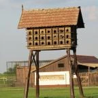 Sterbetz István Túzokvédelmi Látogatóközpont KMNP Dévaványa - Egyéb