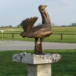 Sterbetz István Túzokvédelmi Látogatóközpont KMNP, Dévaványa - Egyéb