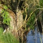 Sterbetz István Túzokvédelmi Látogatóközpont KMNP Dévaványa - Egyéb