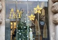 Szamos Today Budapest