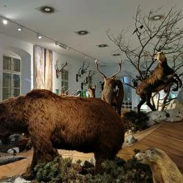 Széchenyi Zsigmond Kárpát-medencei Magyar Vadászati Múzeum Hatvan - Egyéb