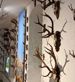 Széchenyi Zsigmond Kárpát-medencei Magyar Vadászati Múzeum