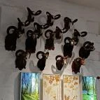 Széchenyi Zsigmond Kárpát-medencei Magyar Vadászati Múzeum Hatvan - Egyéb