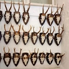 Széchenyi Zsigmond Kárpát-medencei Magyar Vadászati Múzeum Hatvan - Egyéb