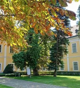 Széchenyi Zsigmond Kárpát-medencei Magyar Vadászati Múzeum