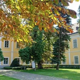 Széchenyi Zsigmond Kárpát-medencei Magyar Vadászati Múzeum Hatvan - Egyéb