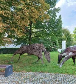Széchenyi Zsigmond Kárpát-medencei Magyar Vadászati Múzeum