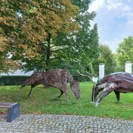 Széchenyi Zsigmond Kárpát-medencei Magyar Vadászati Múzeum Hatvan - Egyéb