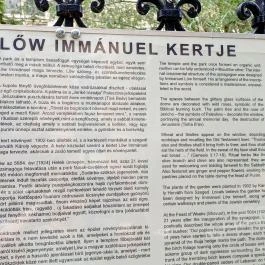 Szegedi Új Zsinagóga Szeged - Külső kép