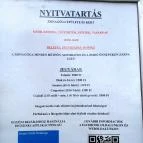 Szegedi Új Zsinagóga Szeged - Belső