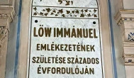 Szegedi Új Zsinagóga, Szeged