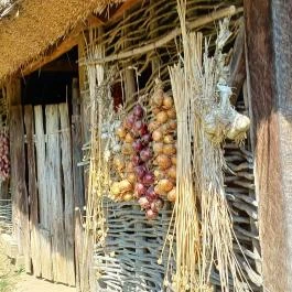Szennai Skanzen, Szenna - Egyéb