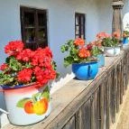 Szennai Skanzen Szenna - Egyéb