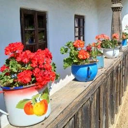 Szennai Skanzen, Szenna - Egyéb