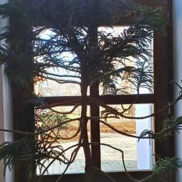 Szent Imre Panzió Újkígyós - Egyéb