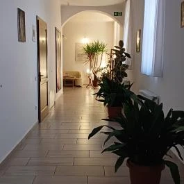 Szent Imre Panzió Újkígyós - Egyéb