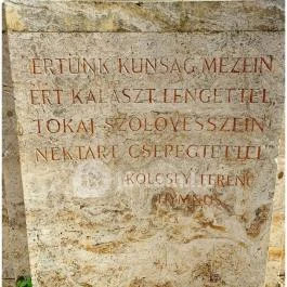 Szent István-szobor Tokaj - Egyéb