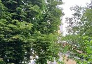 Szent József templom Szálka