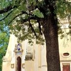 Szent Márton plébániatemplom Kunszentmárton - Egyéb