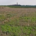 Szent Móric kápolna Abádszalók - Egyéb