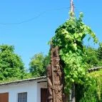 Szent Orbán Szekszárd - Egyéb