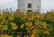 Szent Teréz-kápolna Tarcal