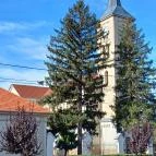 Szent Vendel Római Katolikus templom Fegyvernek - Egyéb