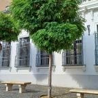 Szentendre fő tere Szentendre - Egyéb