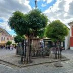 Szentendre fő tere Szentendre - Egyéb