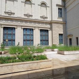 Szépművészeti Múzeum Budapest - Egyéb