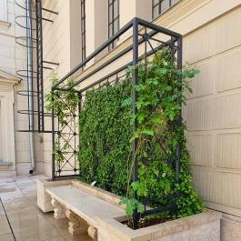 Szépművészeti Múzeum Budapest - Egyéb