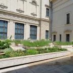 Szépművészeti Múzeum Budapest - Egyéb