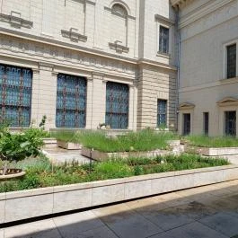 Szépművészeti Múzeum Budapest - Egyéb