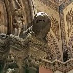 Szépművészeti Múzeum Budapest - Egyéb