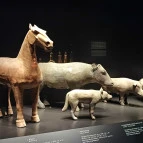 Szépművészeti Múzeum Budapest - Belső