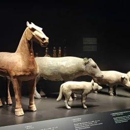 Szépművészeti Múzeum Budapest - Belső