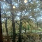 Szerencsi Rákóczi-vár Szerencs - Egyéb