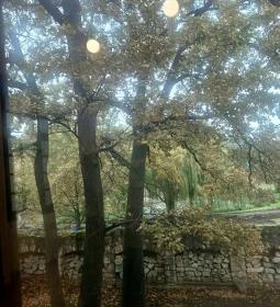 Szerencsi Rákóczi-vár