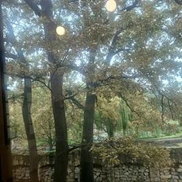 Szerencsi Rákóczi-vár Szerencs - Egyéb