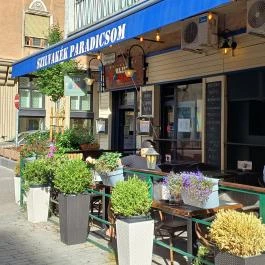 Szilvakék Paradicsom Budapest - Egyéb