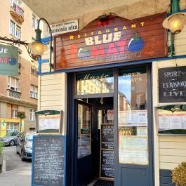 Szilvakék Paradicsom Budapest - Egyéb