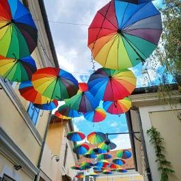 Színes esernyők, Szentendre - Egyéb
