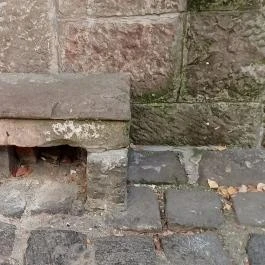 Színes esernyők, Szentendre - Egyéb