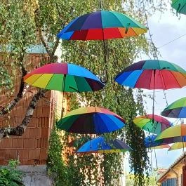 Színes esernyők, Szentendre - Egyéb