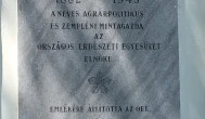Szirmay-Waldbott Kastély, Tolcsva