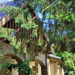 Szolnoki Művésztelep Szolnok - Egyéb