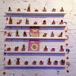 Taco Bar, Budapest - Egyéb