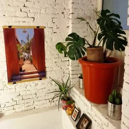 Taco Bar, Budapest - Egyéb